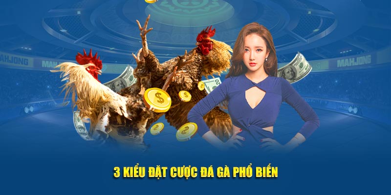 3 kiểu đặt cược đá gà Kubet phổ biến