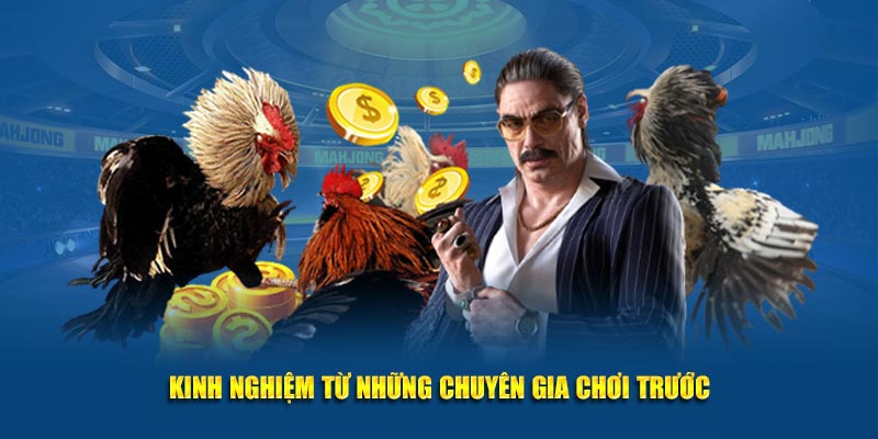 Kinh nghiệm chơi từ những chuyên gia Kubet