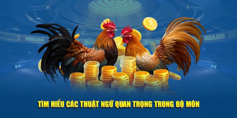 Tìm hiểu các thuật ngữ quan trọng trong bộ môn đá gà Kubet